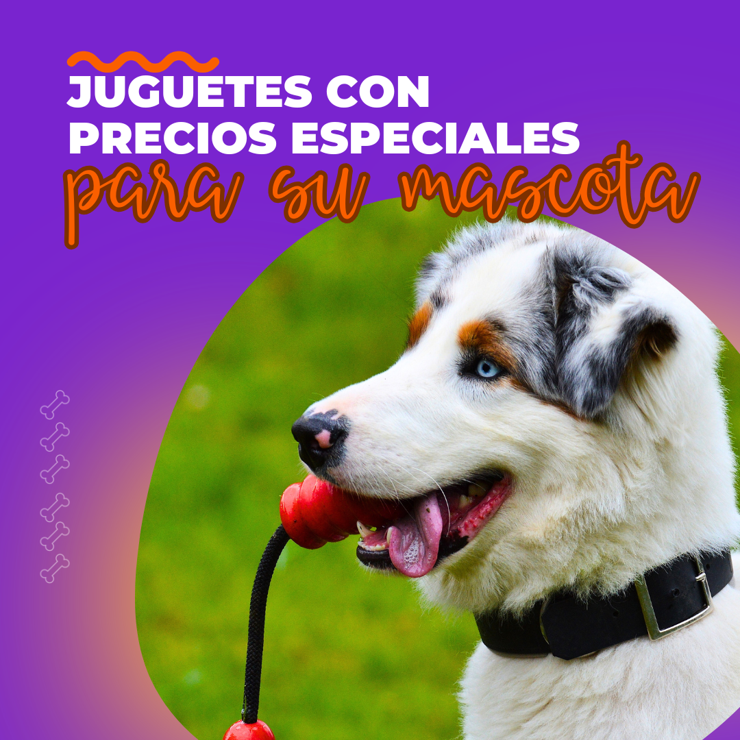 Mascota viral