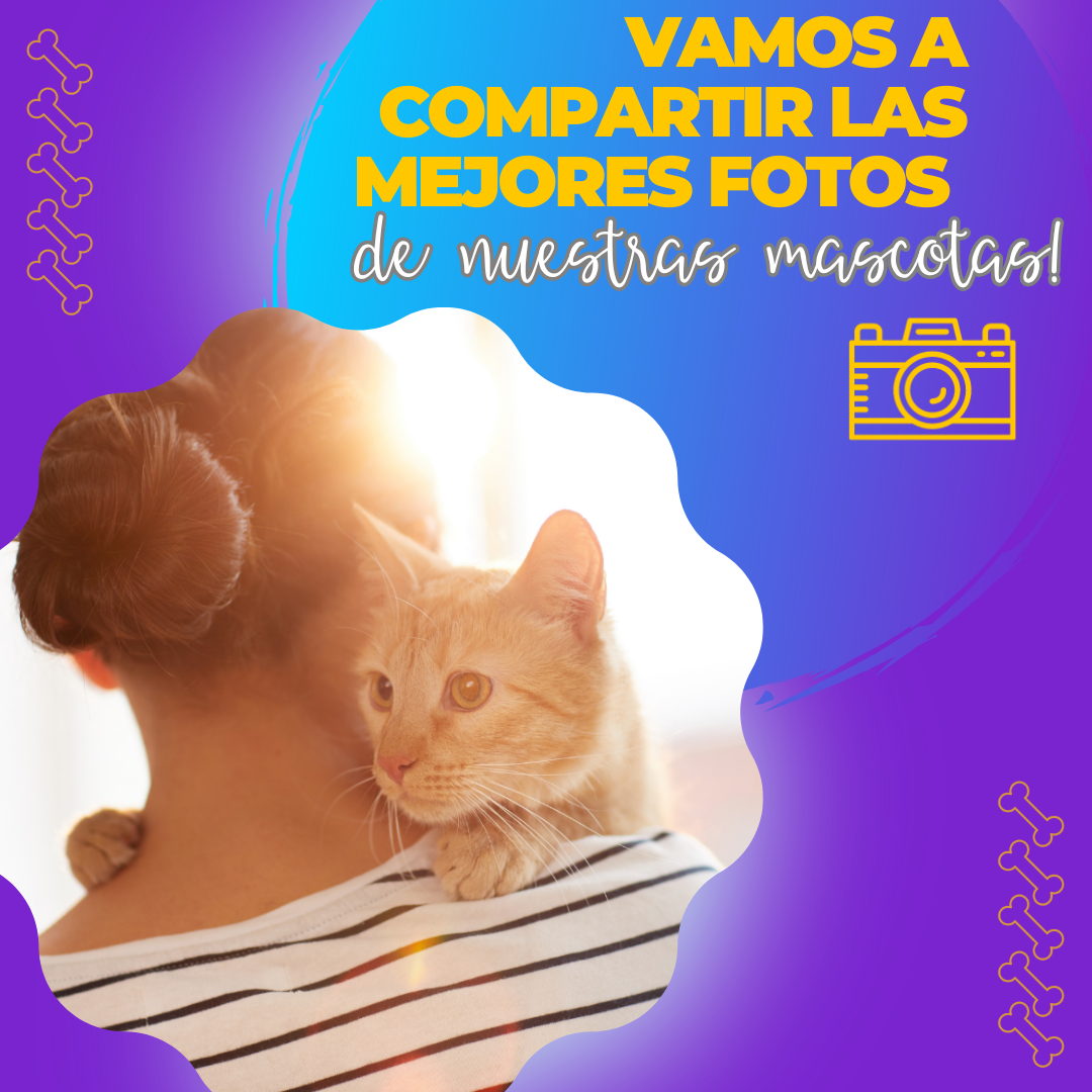 Mascota viral