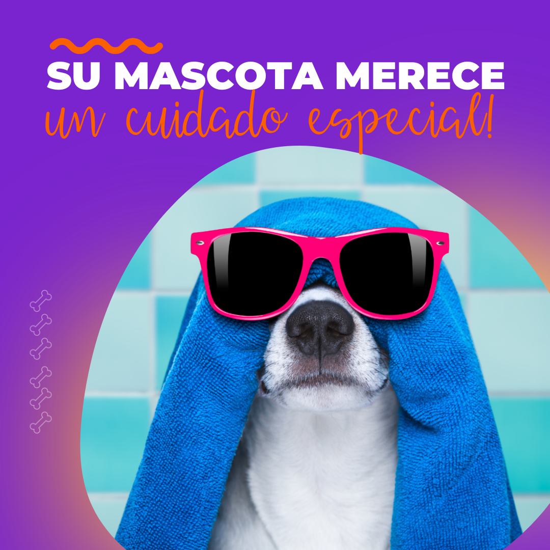 Mascotas virales